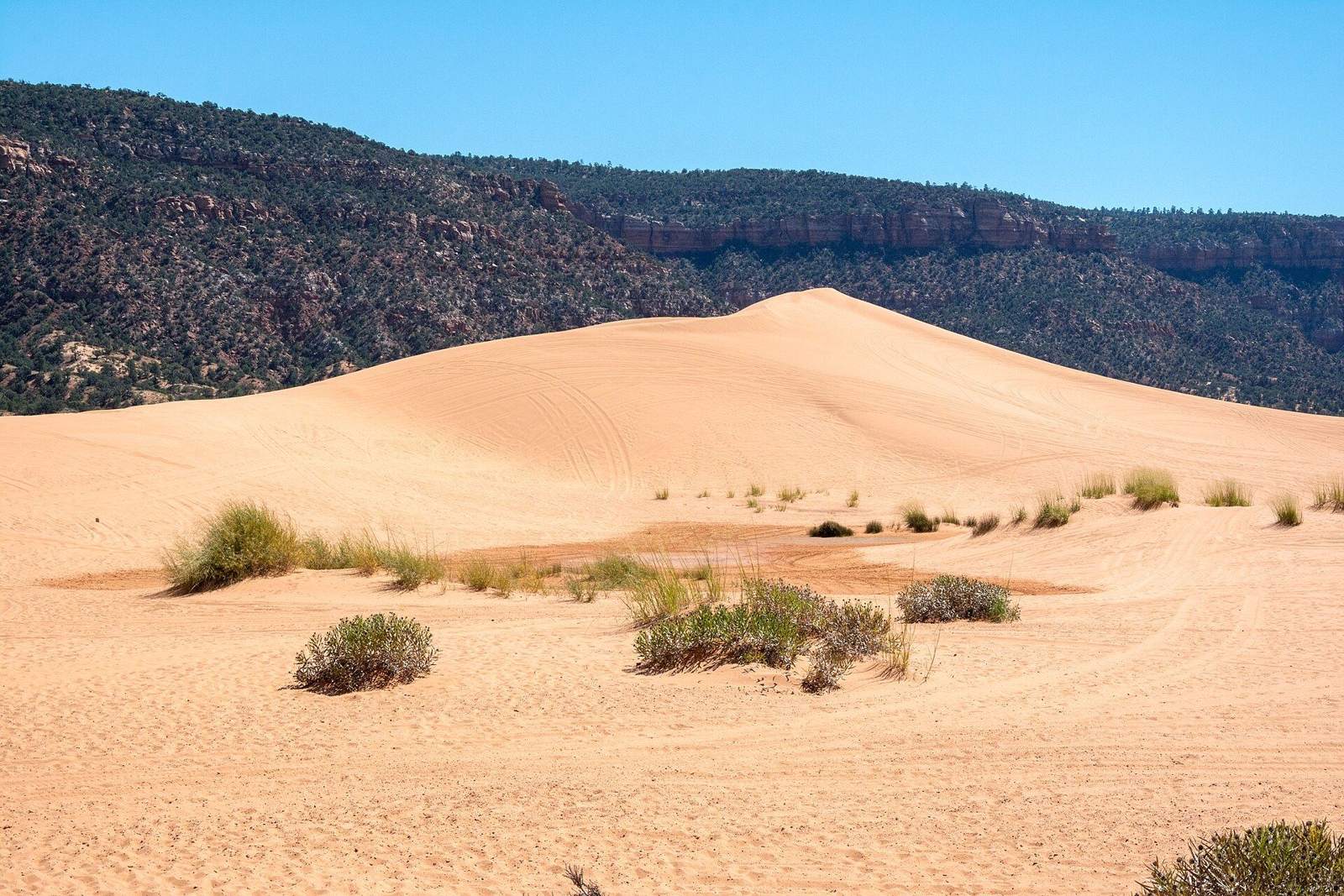 Sand dunes in the desert